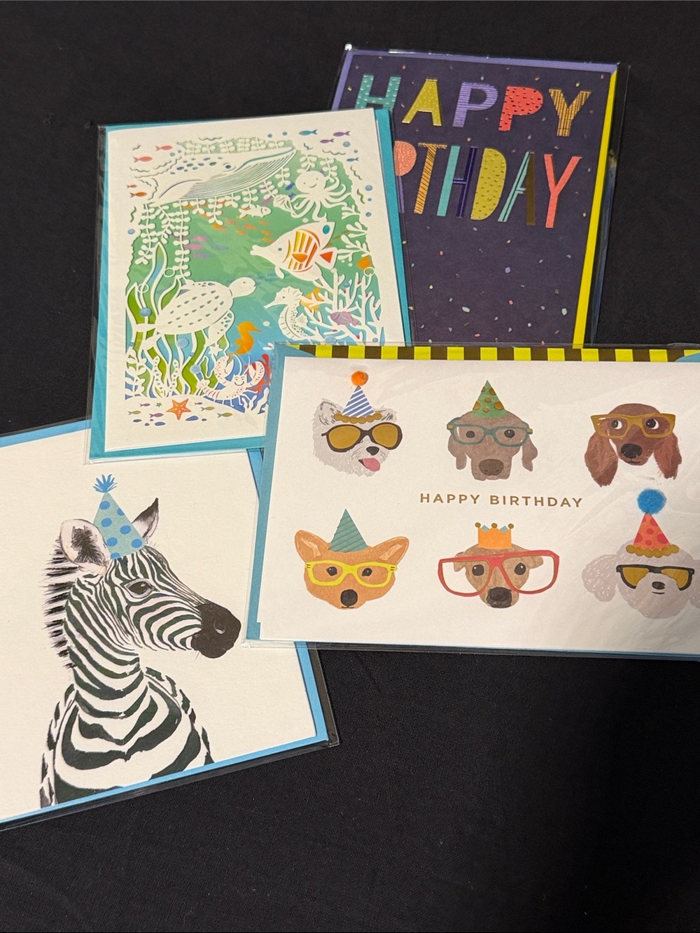 Papyrus | Assorted Birthday Card Pack Animal Themed
